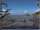 foto Flora e la Fauna alle Seychelles